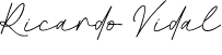 assinatura cofundador do projeto Ricardo Vidal
